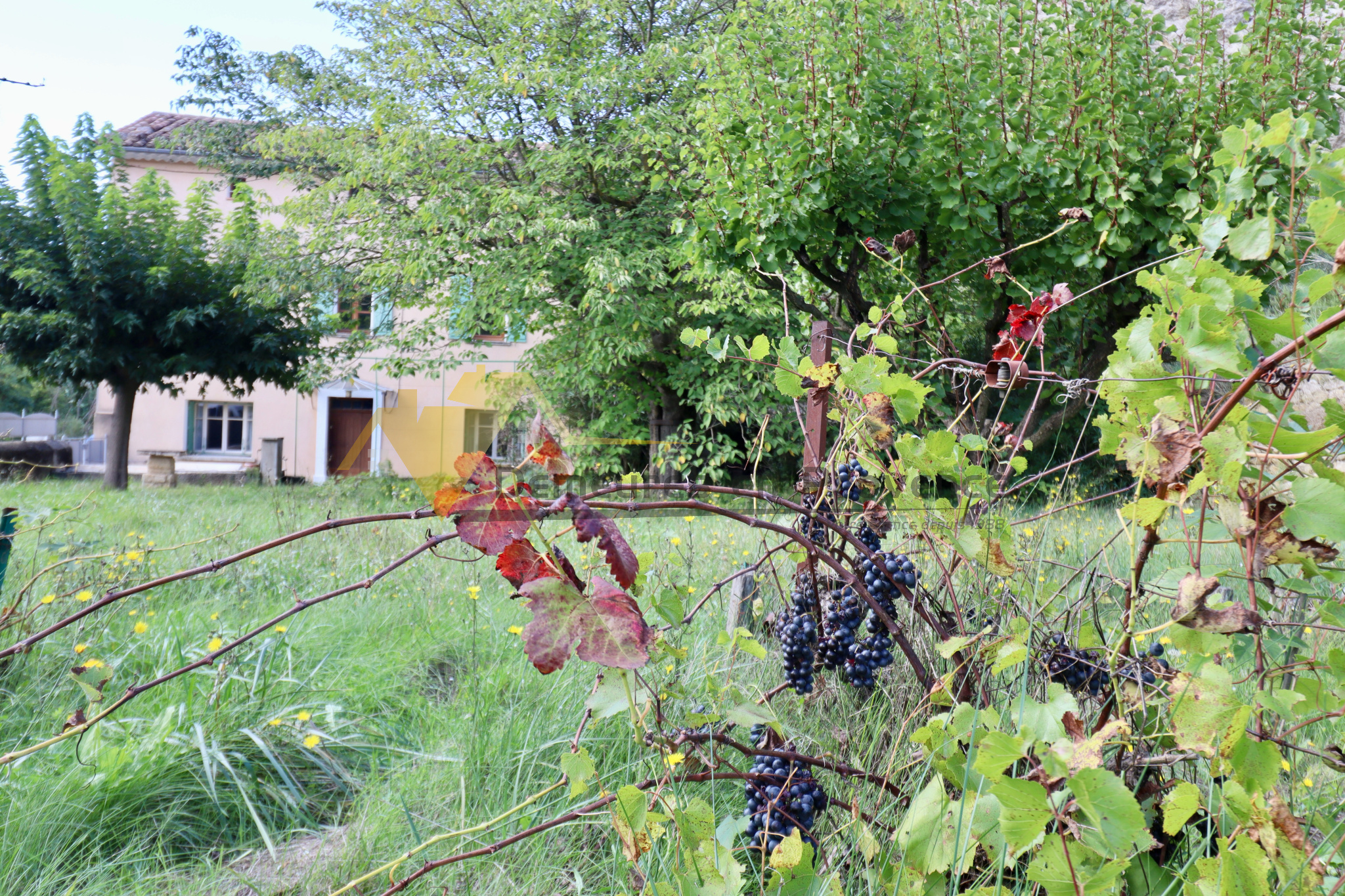Image_2, Bastide, Malaucène, ref :3039
