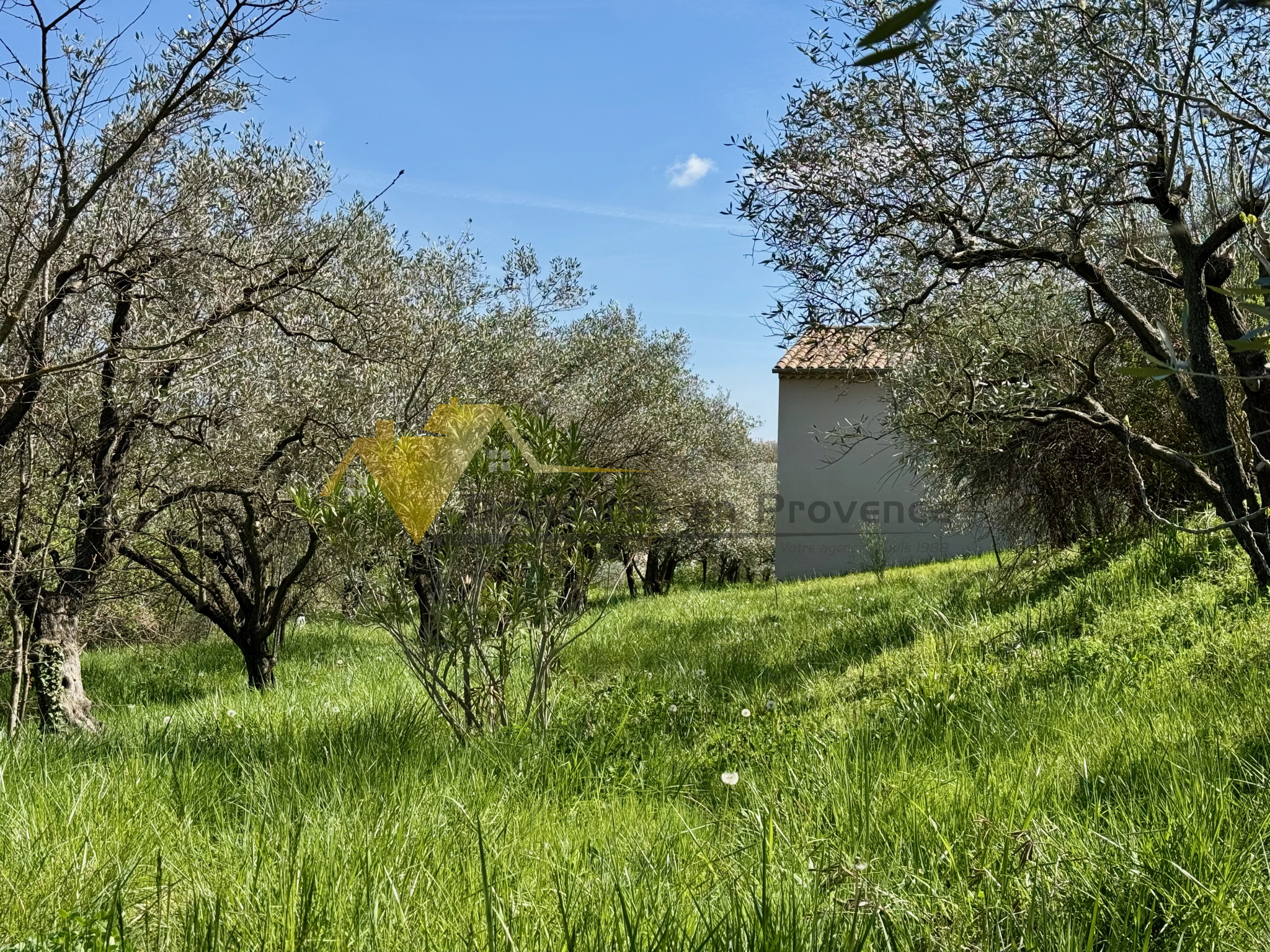 Image_20, Villa, Mirabel-aux-Baronnies, ref :3023