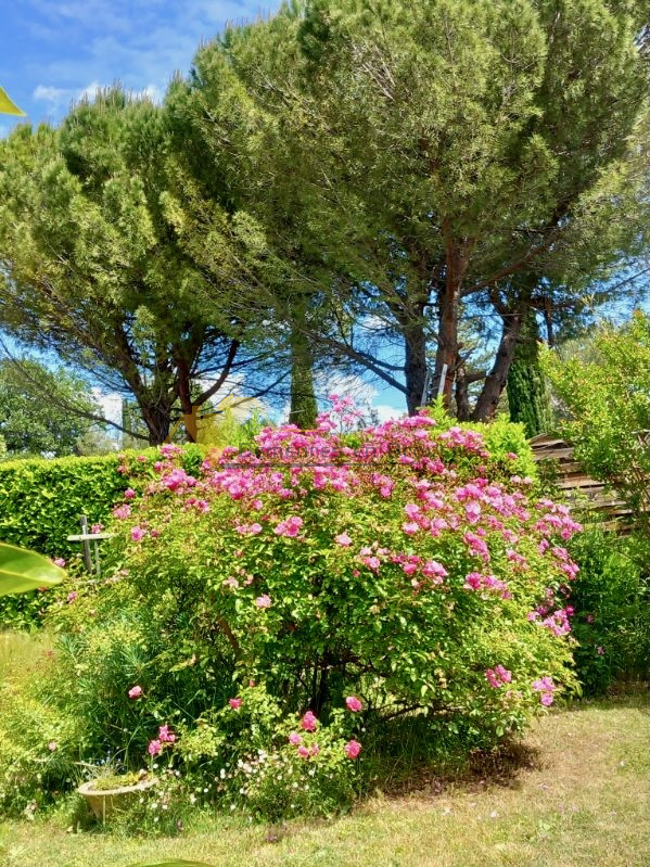 Image_31, Villa, Vaison-la-Romaine, ref :2967